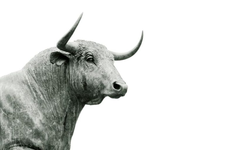 Altcoins - bull grayscale photo