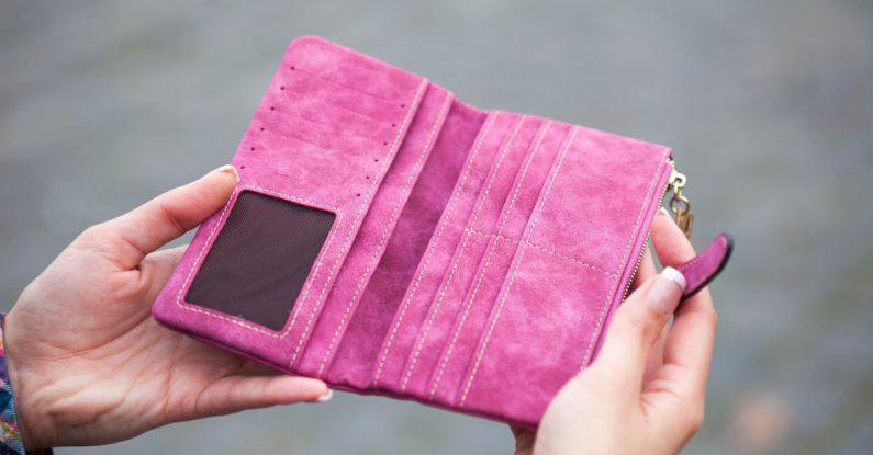 Wallets - Person Holding Pink Suede Long Waller