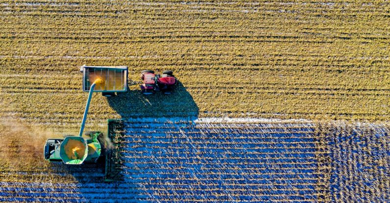 Farming - Top View of Green Field